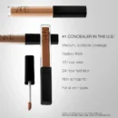 Radiant Creamy Concealer